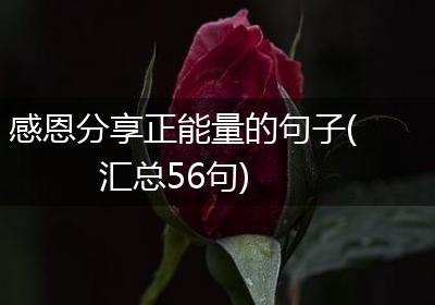 感恩分享正能量的句子(汇总56句)