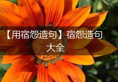 【用宿怨造句】宿怨造句大全