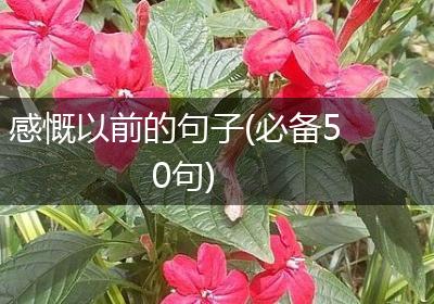 感慨以前的句子(必备50句)