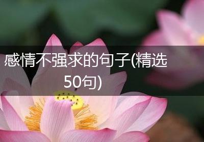 感情不强求的句子(精选50句)