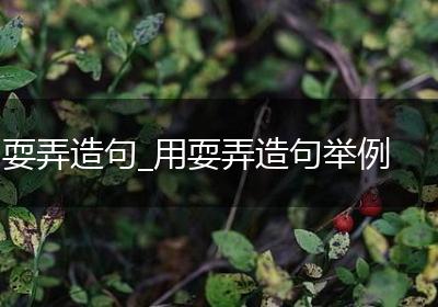 耍弄造句_用耍弄造句举例