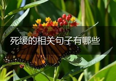 死缓的相关句子有哪些
