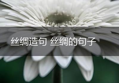 丝绸造句 丝绸的句子