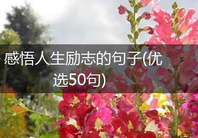 感悟人生励志的句子(优选50句)
