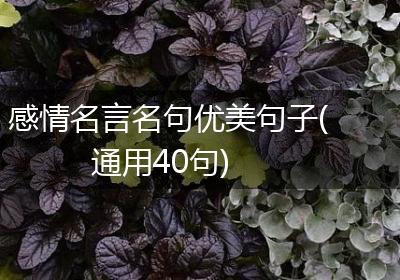 感情名言名句优美句子(通用40句)