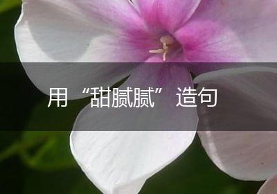 用“甜腻腻”造句