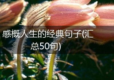 感概人生的经典句子(汇总50句)