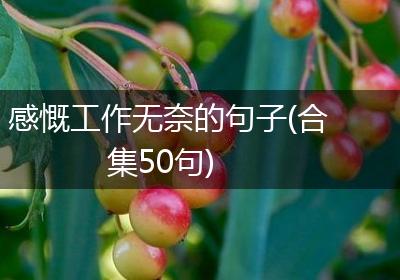 感慨工作无奈的句子(合集50句)
