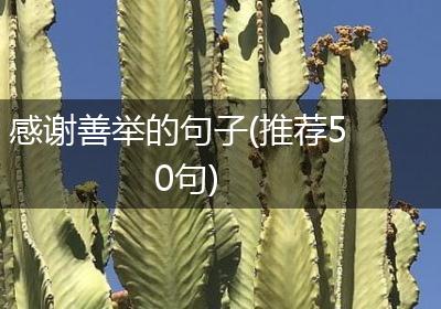 感谢善举的句子(推荐50句)