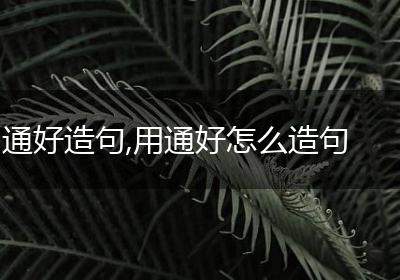 通好造句,用通好怎么造句