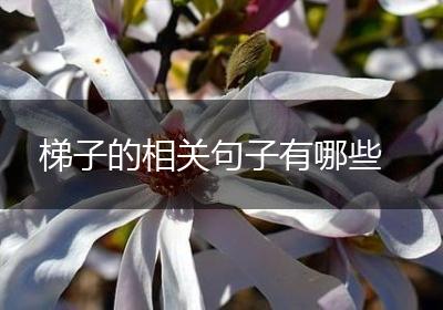 梯子的相关句子有哪些