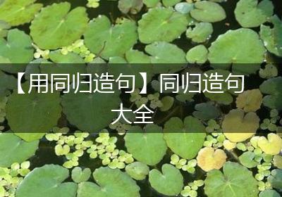 【用同归造句】同归造句大全