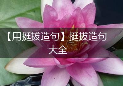 【用挺拔造句】挺拔造句大全