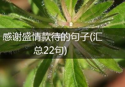 感谢盛情款待的句子(汇总22句)