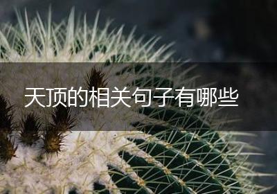 天顶的相关句子有哪些