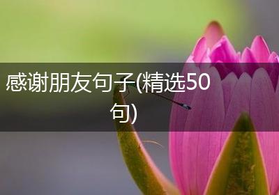 感谢朋友句子(精选50句)