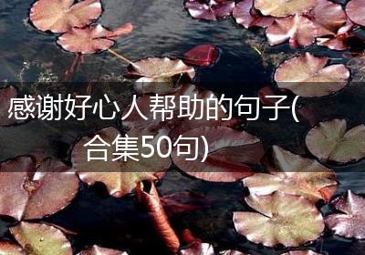 感谢好心人帮助的句子(合集50句)