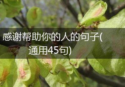 感谢帮助你的人的句子(通用45句)