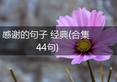 感谢的句子 经典(合集44句)