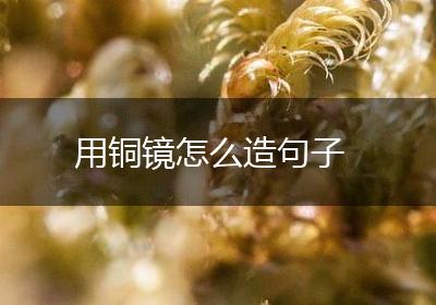 用铜镜怎么造句子