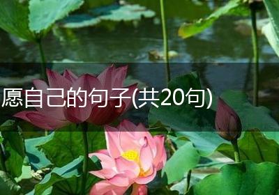 愿自己的句子(共20句)