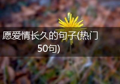 愿爱情长久的句子(热门50句)