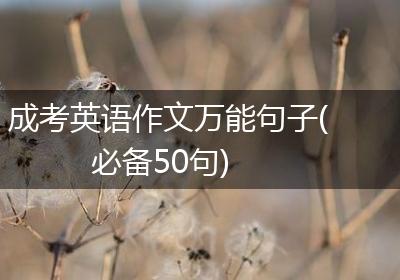 成考英语作文万能句子(必备50句)