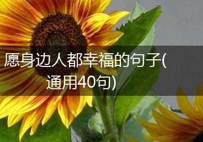 愿身边人都幸福的句子(通用40句)