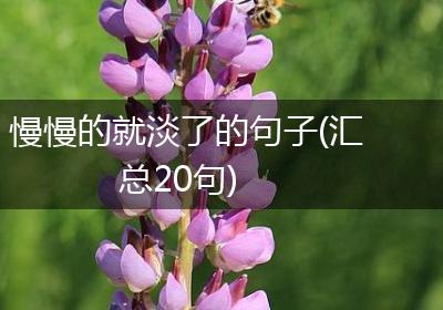 慢慢的就淡了的句子(汇总20句)