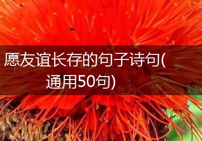 愿友谊长存的句子诗句(通用50句)
