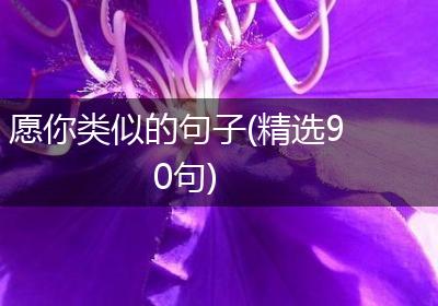 愿你类似的句子(精选90句)