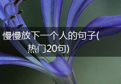 慢慢放下一个人的句子(热门20句)