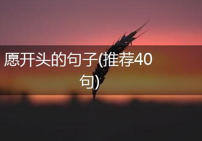 愿开头的句子(推荐40句)