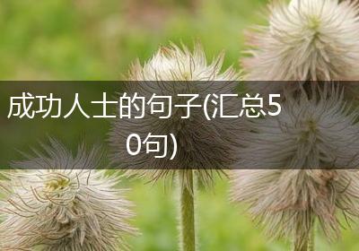 成功人士的句子(汇总50句)
