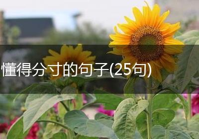 懂得分寸的句子(25句)