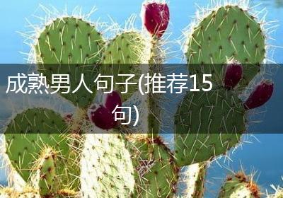 成熟男人句子(推荐15句)