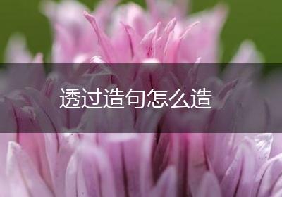 透过造句怎么造