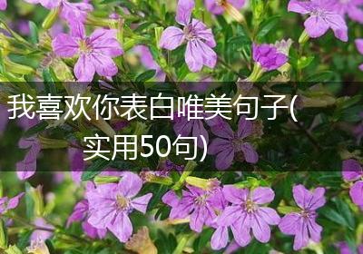 我喜欢你表白唯美句子(实用50句)