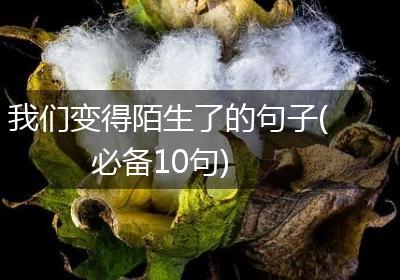 我们变得陌生了的句子(必备10句)