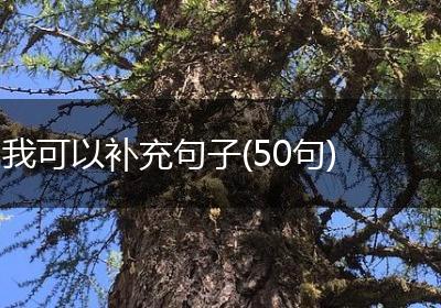 我可以补充句子(50句)