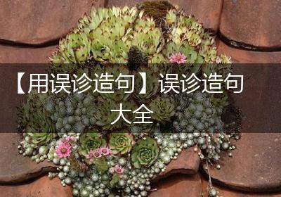 【用误诊造句】误诊造句大全