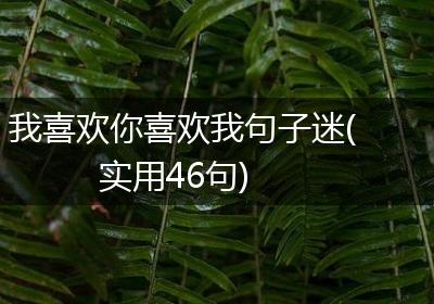 我喜欢你喜欢我句子迷(实用46句)