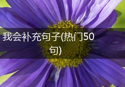 我会补充句子(热门50句)