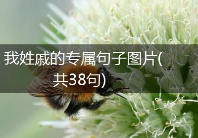 我姓戚的专属句子图片(共38句)