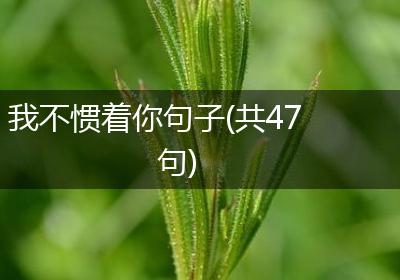 我不惯着你句子(共47句)