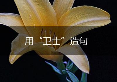 用“卫士”造句