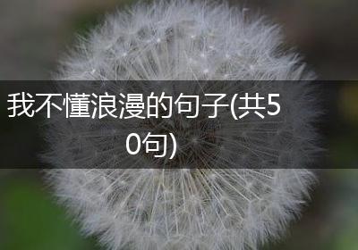 我不懂浪漫的句子(共50句)