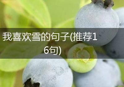 我喜欢雪的句子(推荐16句)