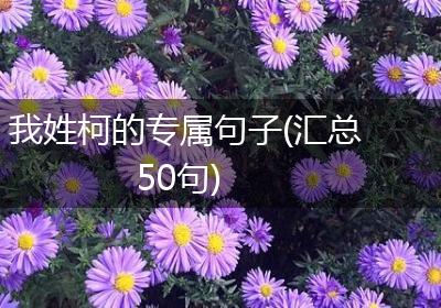 我姓柯的专属句子(汇总50句)