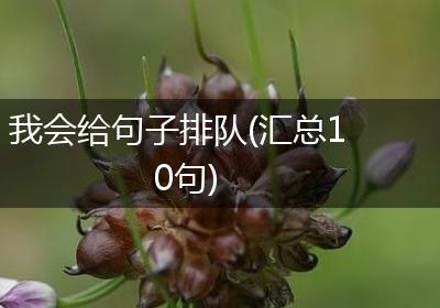 我会给句子排队(汇总10句)
